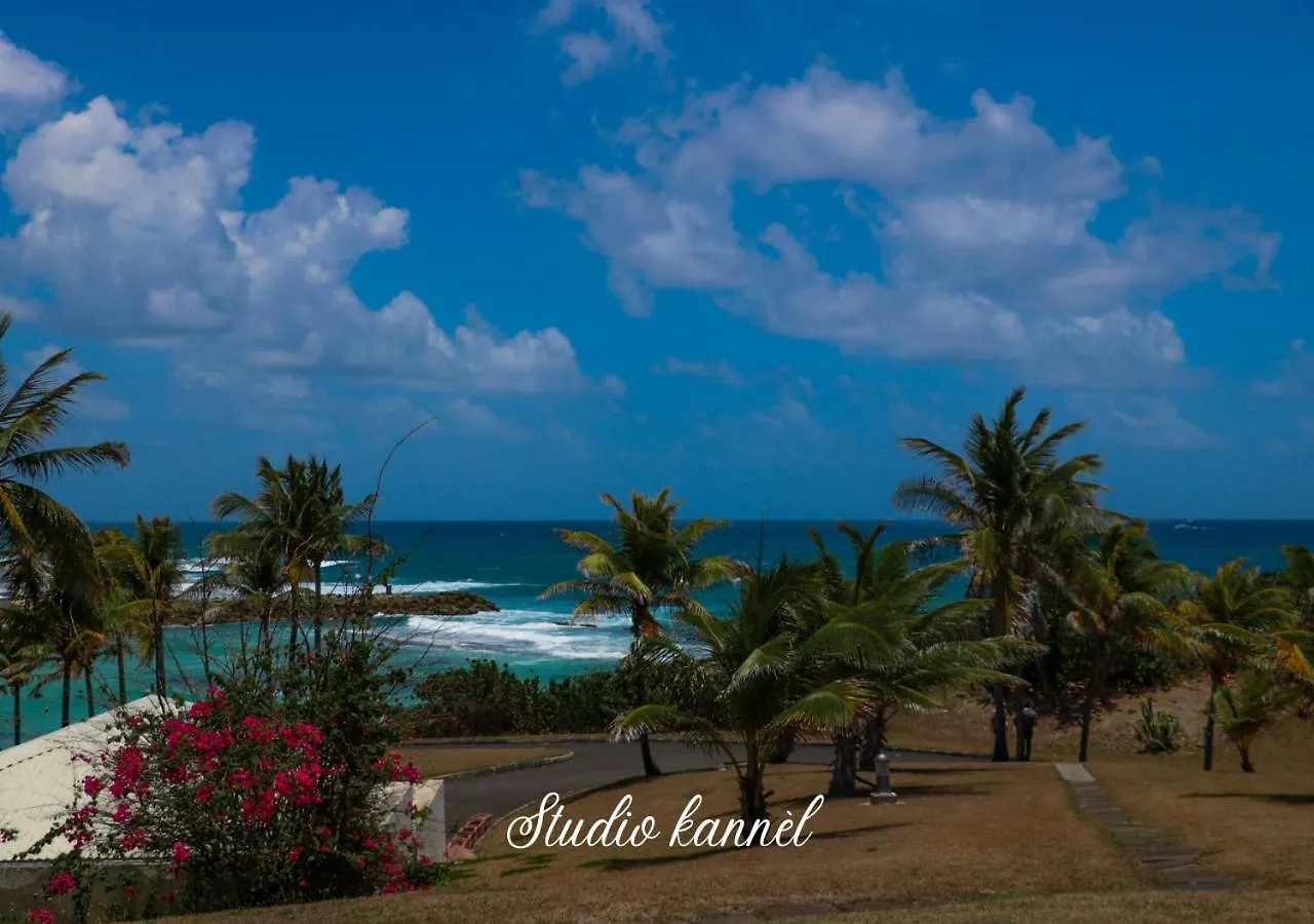 Appartement Charmant studio Kannèl au MANGANAO vue sur mer et panier d'accueil offert Saint-Francois